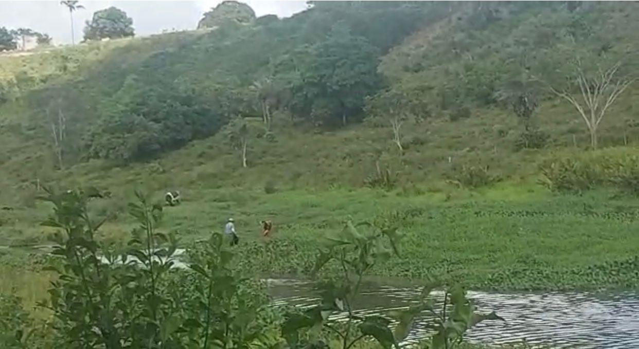 Terreno à venda - Foto 5