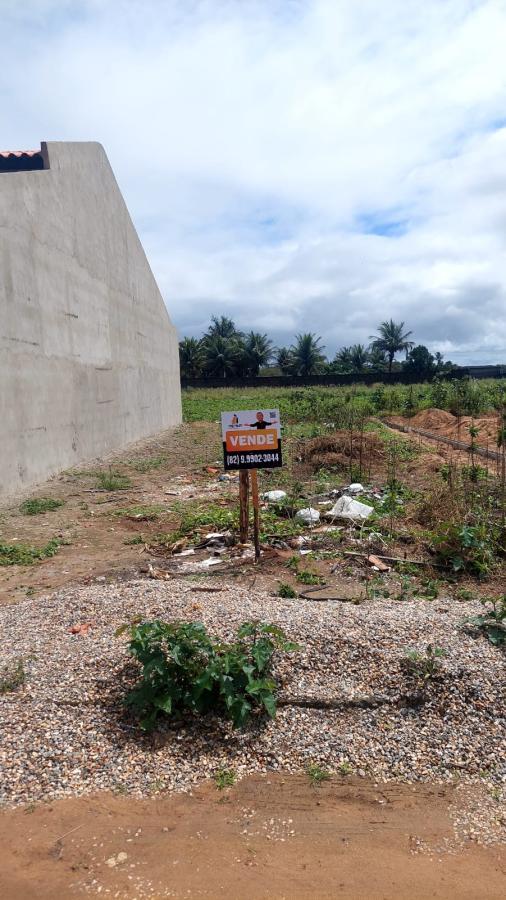 Terreno à venda - Foto 2