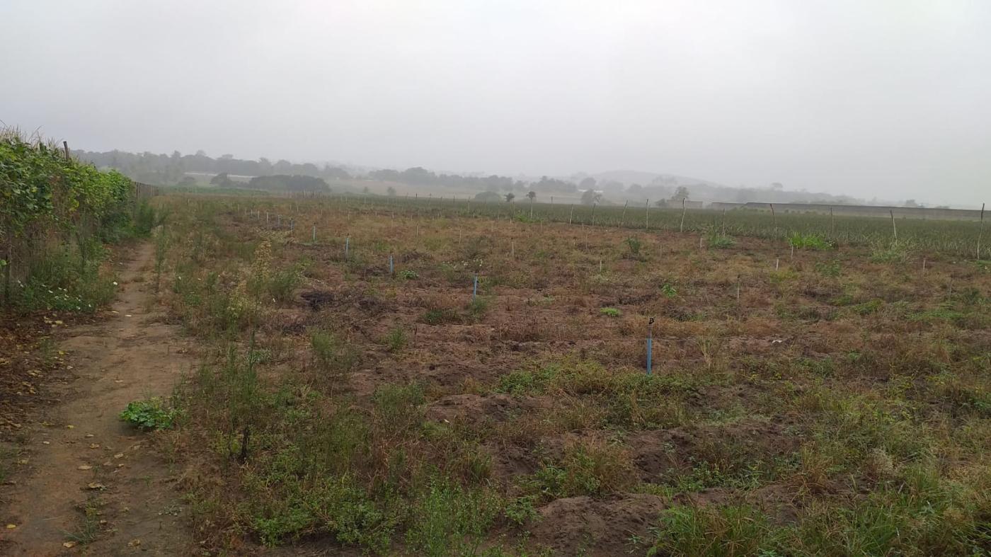 Chácara, 5192 m² - Foto 2