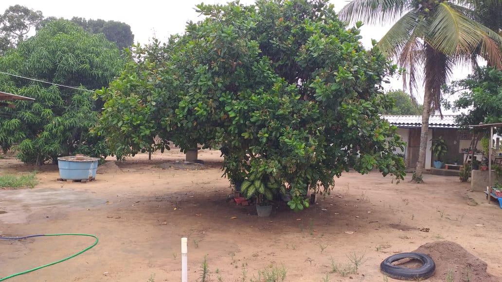 Chácara, 5192 m² - Foto 12