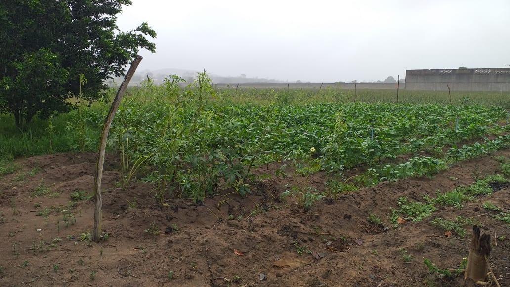 Chácara, 5192 m² - Foto 14