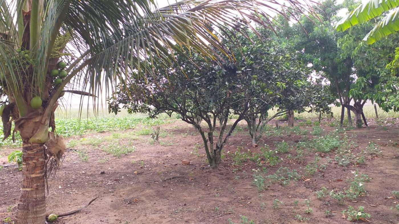 Chácara, 5192 m² - Foto 15