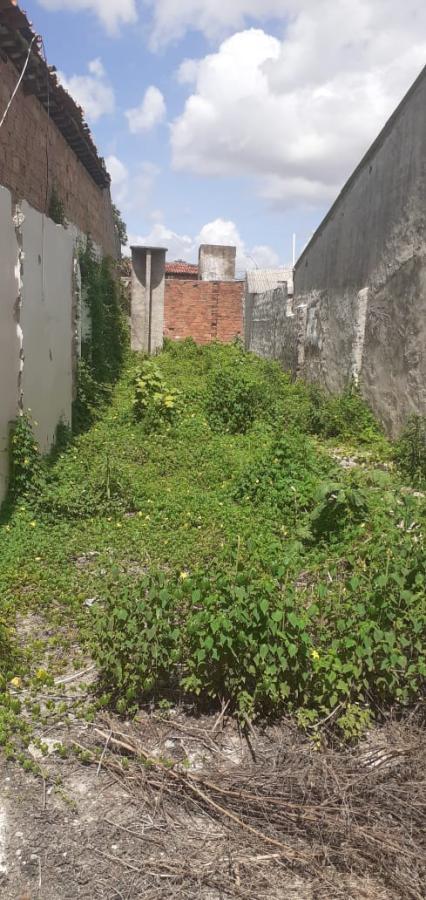 Terreno, 120 m² - Foto 3