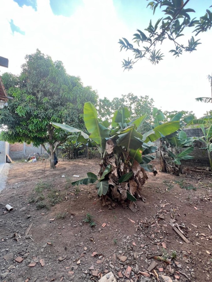 Casa, 2 quartos, 140 m² - Foto 22